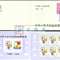 SB5 中国邮票展览•日本 邮票 小本票