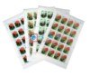 http://e-stamps.cn/upload/2010/05/18/200911251344166613.jpg/190x220_Min