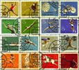 http://e-stamps.cn/upload/2010/07/21/2229456191.jpg/190x220_Min