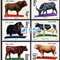 T63　畜牧业——牛 养牛 邮票 原胶全品