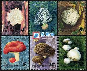 T66　食用菌 蘑菇 邮票 原胶全品