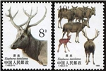 http://e-stamps.cn/upload/2010/08/13/0101315679.jpg/190x220_Min