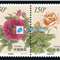 1997-17 花卉 邮票（联票 不折）（中国和新西兰联合发行）