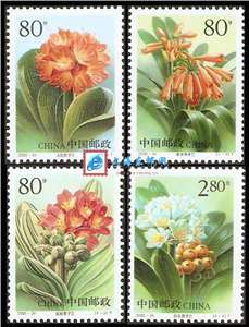 2000-24 君子兰 邮票