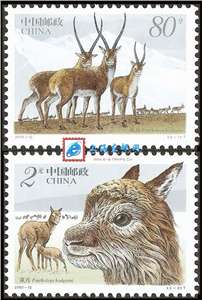 2003-12 藏羚 邮票