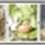 http://e-stamps.cn/upload/2012/06/06/2223028066.jpg/300x300_Min