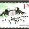 2013-13 小蝌蚪找妈妈 邮票(五枚连印)