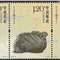 2017-8 红山文化玉器 邮票（三枚连印）购六套供撕口版