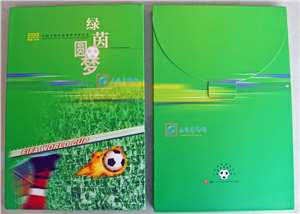 绿茵圆梦——中国足球队逐鹿世界杯纪念