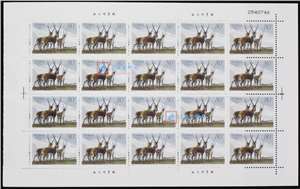 2003-12 藏羚 邮票 大版（一套两版，20套票）