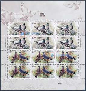 2022-25 鸽 邮票 大版（一套两版，全同号）