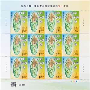 2023-22 世界上第一株杂交水稻培育成功五十周年 邮票 大版
